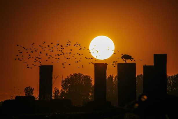 Selçuklu Meydan Mezarlığı tarihe ışık tutuyor