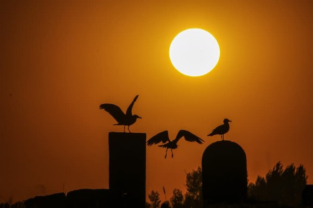 Foto - Selçuklu Meydan Mezarlığı tarihe ışık tutuyor