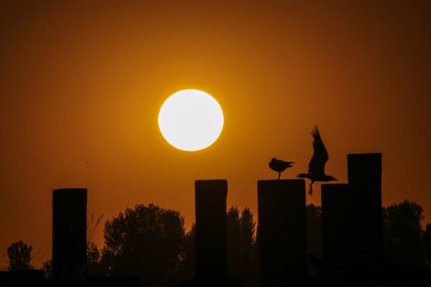 Foto - Selçuklu Meydan Mezarlığı tarihe ışık tutuyor