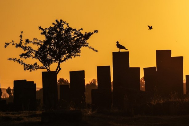 Foto - Selçuklu Meydan Mezarlığı tarihe ışık tutuyor