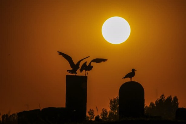 Foto - Selçuklu Meydan Mezarlığı tarihe ışık tutuyor