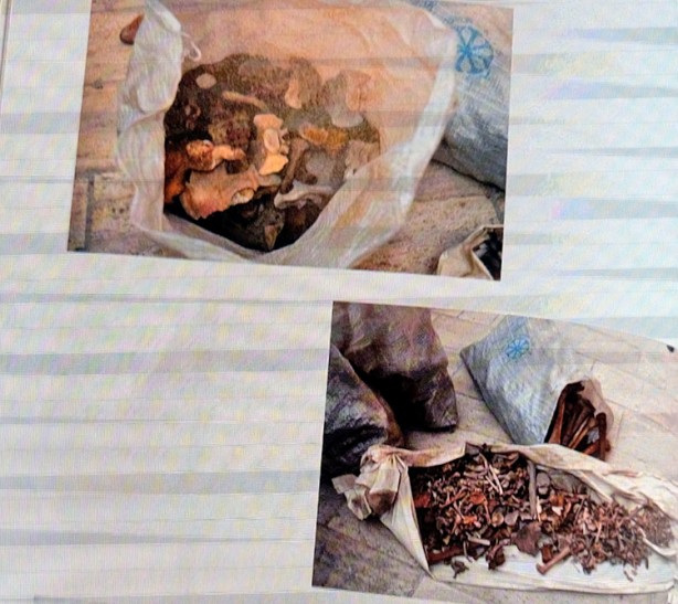 Foto - Selçuklu sultanlarının kemikleri DNA testi ile incelendi… Bilinenin aksine sonuçlar çıktı... Ölüm nedenleri hayrete düşürdü