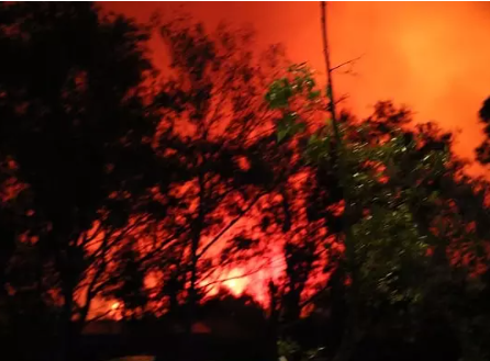 Foto - Selçuk’ta çıkan yangın oraya da sıçradı