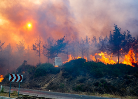Selçuk’ta çıkan yangın oraya da sıçradı