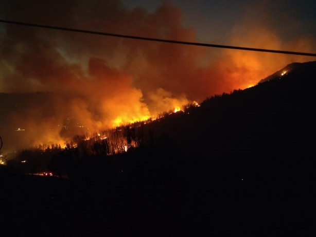 Foto - Selçuk'taki yangında felaket büyüyor