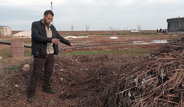 Foto - Selden sonra ortaya çıktı! Evin bahçesinden çıktı herkesi korkuttu