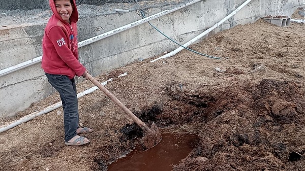 Foto - Selden sonra ortaya çıktı! Evin bahçesinden çıktı herkesi korkuttu