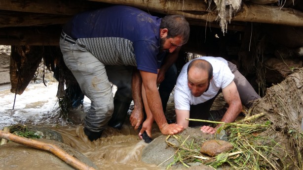 Foto - Sele kapılan 500 hayvan telef oldu!