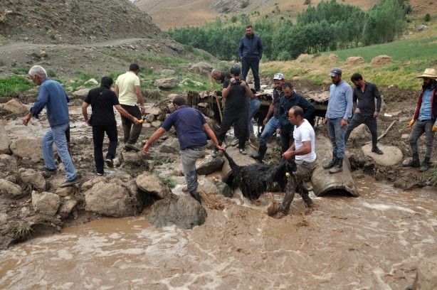 Foto - Sele kapılan 500 hayvan telef oldu!
