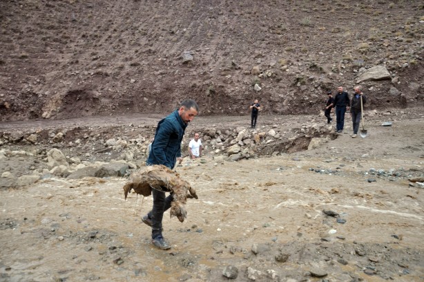 Foto - Sele kapılan 500 hayvan telef oldu!