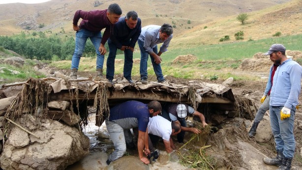 Foto - Sele kapılan 500 hayvan telef oldu!