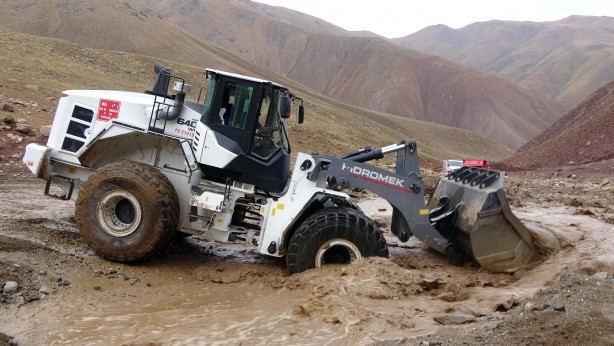 Foto - Sele kapılan 500 hayvan telef oldu!