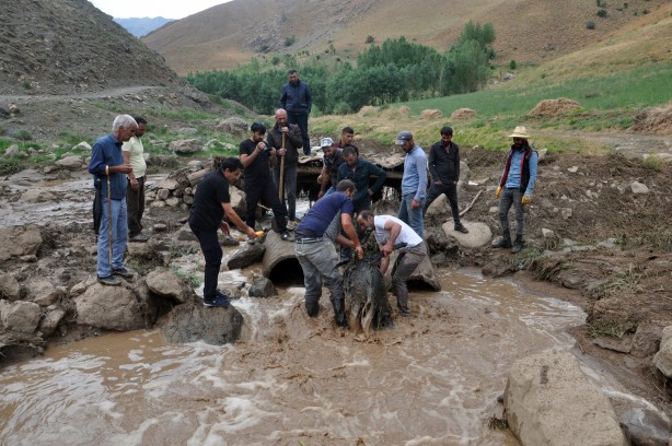 Foto - Sele kapılan 500 hayvan telef oldu!