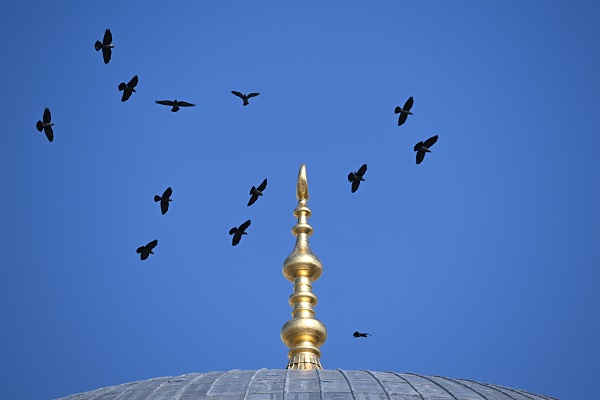 Foto - Selimiye'de çalışmalar son sürat devam ediyor