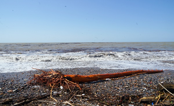 Foto - Selin ardından kıyıya koştular! 