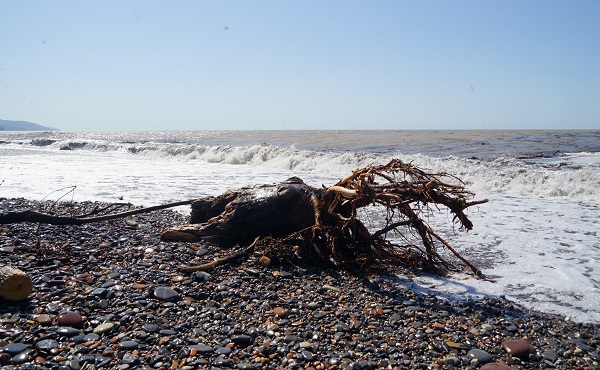 Foto - Selin ardından kıyıya koştular! 