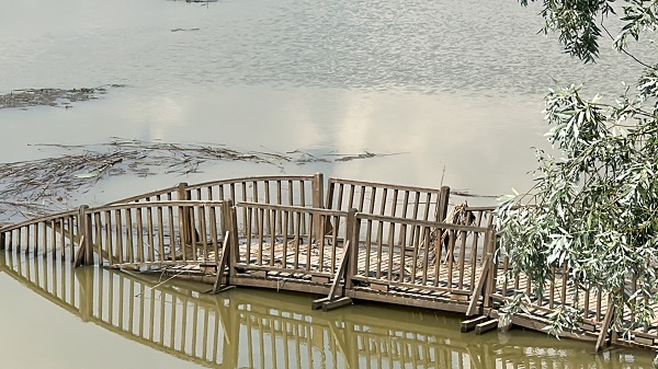 Foto - Selin boyutu ortaya çıktı! Efteni Gölü'nün son hali