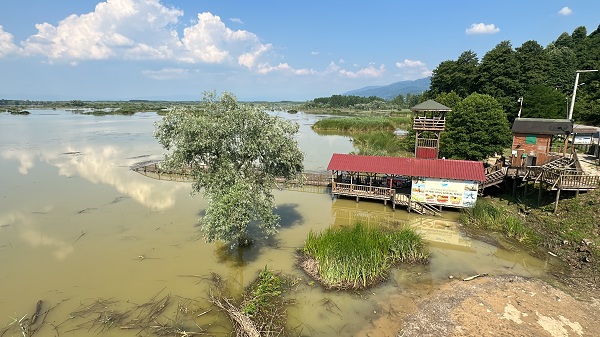 Foto - Selin boyutu ortaya çıktı! Efteni Gölü'nün son hali