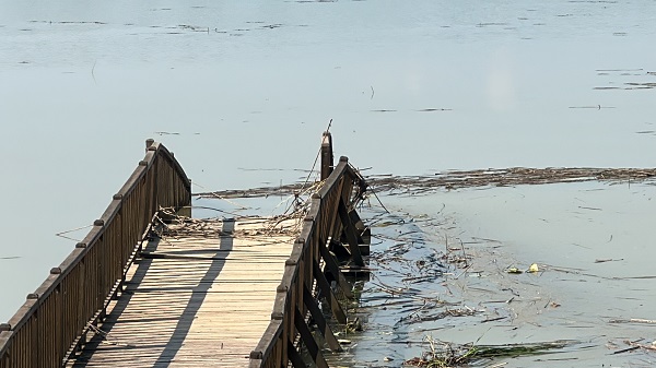Foto - Selin boyutu ortaya çıktı! Efteni Gölü'nün son hali