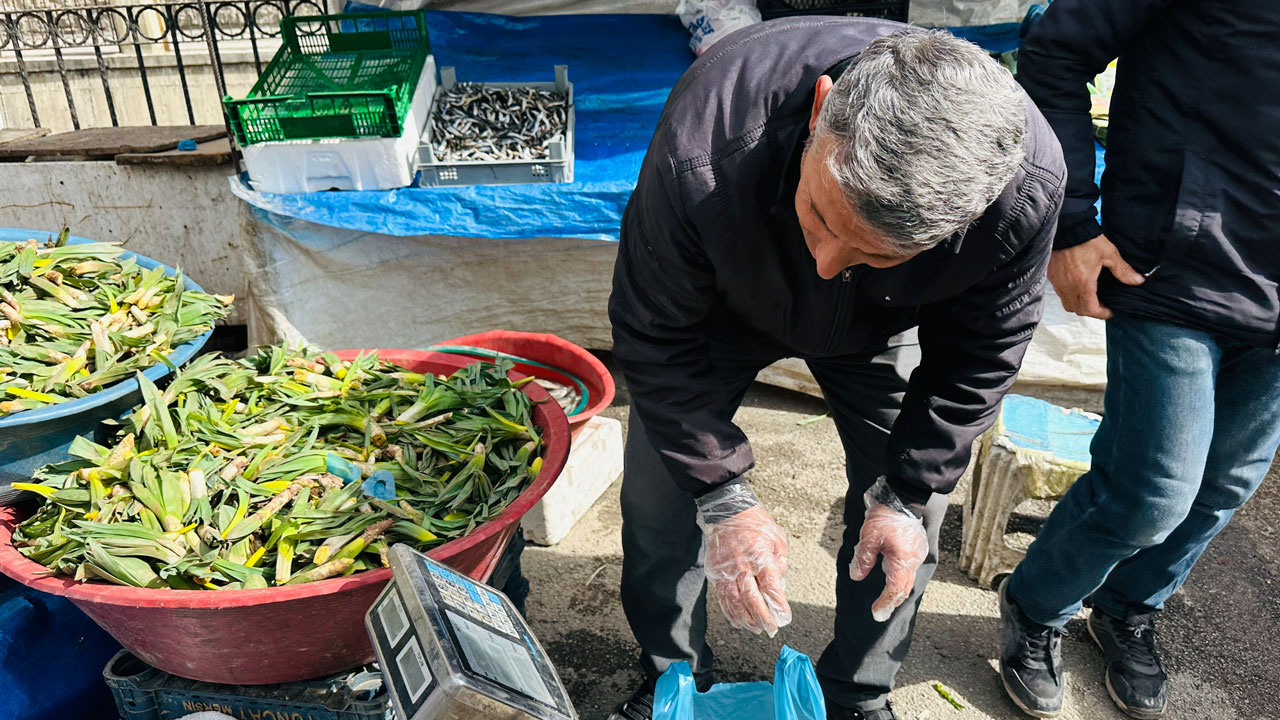 Foto - Şemdinli dağlarından tezgahlara: Bu bitki tam bir doğal antibiyotik