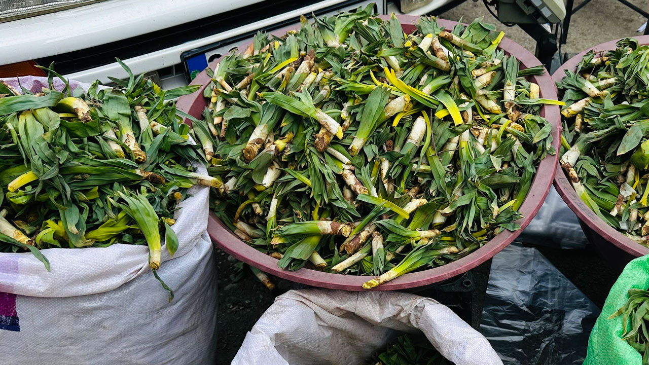 Foto - Şemdinli dağlarından tezgahlara: Bu bitki tam bir doğal antibiyotik