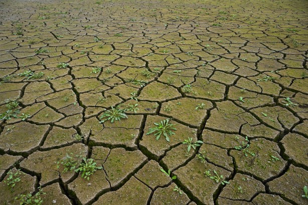 Foto - Sen Ankara'larda gezmeye devam et İmamoğlu! İstanbul'u İstanbullular idare eder... Durum feci... 