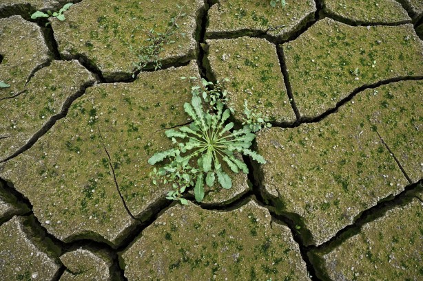 Foto - Sen Ankara'larda gezmeye devam et İmamoğlu! İstanbul'u İstanbullular idare eder... Durum feci... 