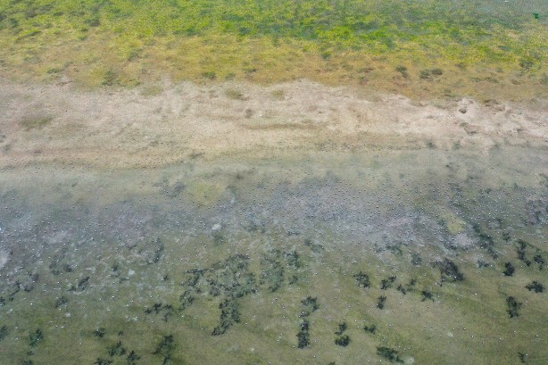 Foto - Sen Ankara'larda gezmeye devam et İmamoğlu! İstanbul'u İstanbullular idare eder... Durum feci... 