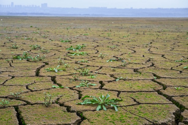 Foto - Sen Ankara'larda gezmeye devam et İmamoğlu! İstanbul'u İstanbullular idare eder... Durum feci... 