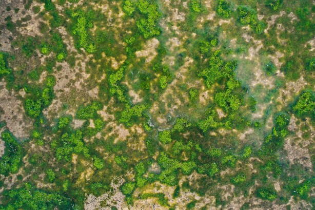 Foto - Sen Ankara'larda gezmeye devam et İmamoğlu! İstanbul'u İstanbullular idare eder... Durum feci... 