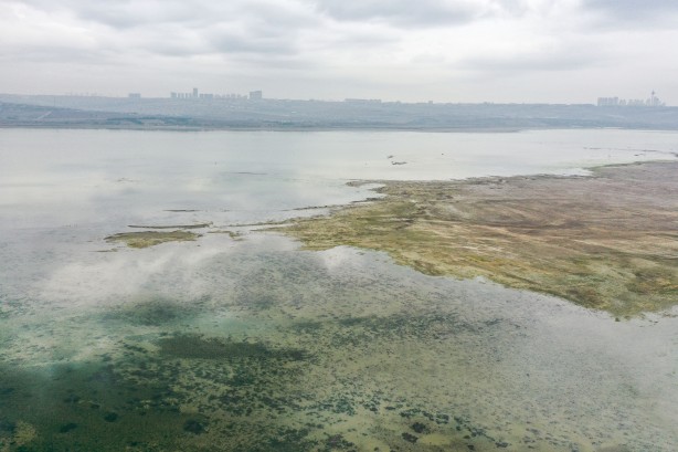 Foto - Sen Ankara'larda gezmeye devam et İmamoğlu! İstanbul'u İstanbullular idare eder... Durum feci... 