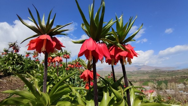 Sen ne güzel bir ülkesin Türkiye! 60 km'lik mesafede şaşkına çeviren görüntü