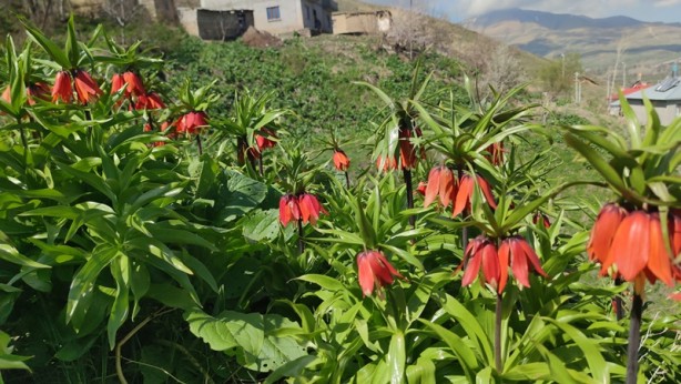 Foto - Sen ne güzel bir ülkesin Türkiye! 60 km'lik mesafede şaşkına çeviren görüntü