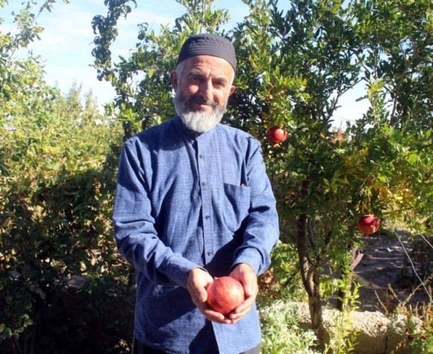Foto - Sen ne yaptın böyle Bekir dayı! Gören, gözlerine inanamıyor! Olacak şey değil