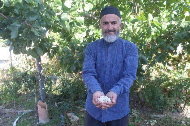 Foto - Sen ne yaptın böyle Bekir dayı! Gören, gözlerine inanamıyor! Olacak şey değil