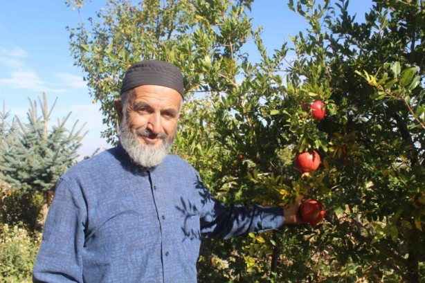 Foto - Sen ne yaptın böyle Bekir dayı! Gören, gözlerine inanamıyor! Olacak şey değil