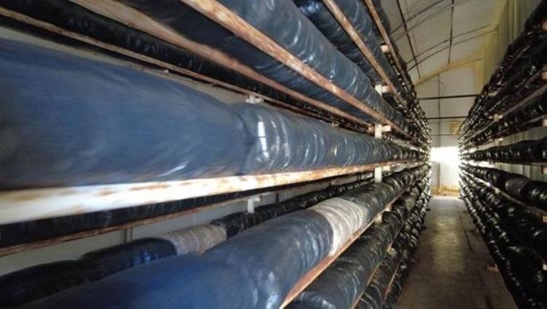 Foto - Sen ne yaptın böyle delikanlı! Köyünde o sistemi kurdu, şimdi paraya para demiyor! Bakın ayda ne kadar kazanıyor