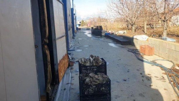 Foto - Sen ne yaptın böyle delikanlı! Köyünde o sistemi kurdu, şimdi paraya para demiyor! Bakın ayda ne kadar kazanıyor