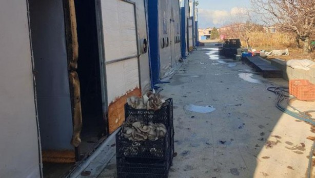 Foto - Sen ne yaptın böyle delikanlı! Köyünde o sistemi kurdu, şimdi paraya para demiyor! Bakın ayda ne kadar kazanıyor