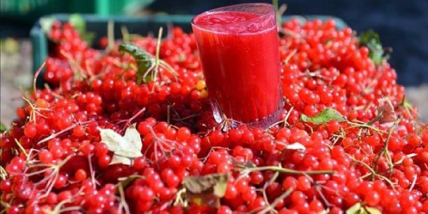Foto - Sen ne yaptın böyle Mustafa dayı! Duyan şok oldu! Şuna bakın hele