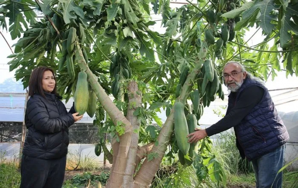 Foto - Sen ne yaptın böyle Mustafa dayı! Olacak iş değil! Gören şaşkına dönüyor