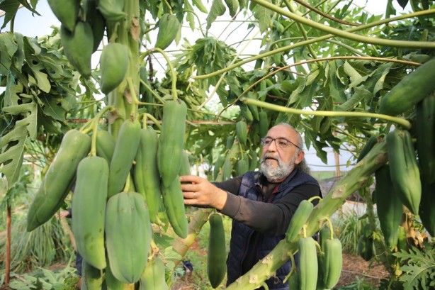 Foto - Sen ne yaptın böyle Mustafa dayı! Olacak iş değil! Gören şaşkına dönüyor