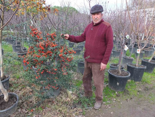Foto - Sen ne yaptın böyle Yunus Amca! Görenler şaşkına dönüyor