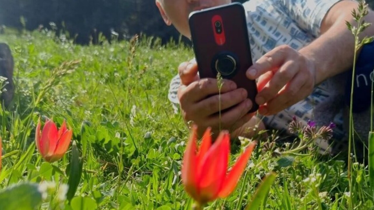 Foto - Senede bir kere çiçek açıp güzelliğini 10 gün sergiliyor! Koparmanın cezası 557 bin TL