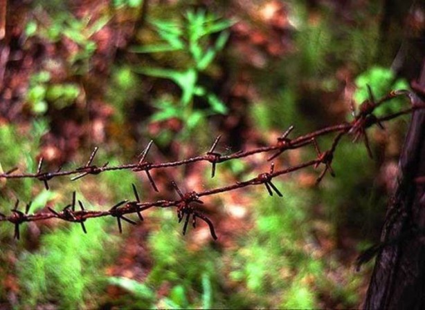 Foto - Seneler sonra kapılarını açtı