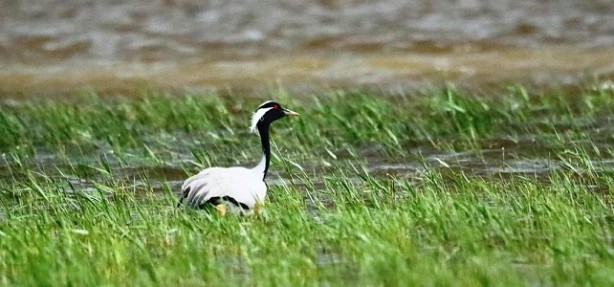 Foto - Seneler sonra ortaya çıktılar