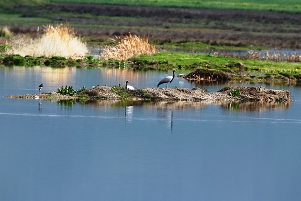 Foto - Seneler sonra ortaya çıktılar