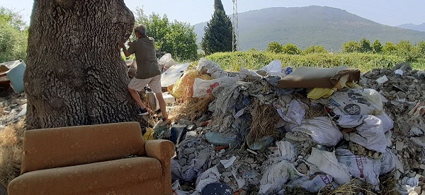 Foto - Senelere meydan okuyor! Bu ağacın yaşını öğrendiğinizde çok şaşıracaksınız