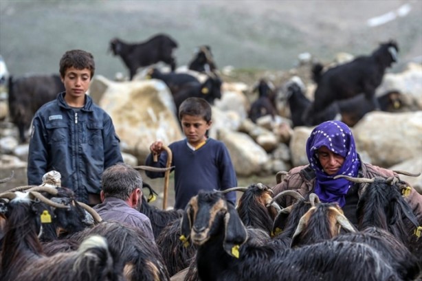 Foto - Senenin 5 ayını yaylada geçiriyorlar