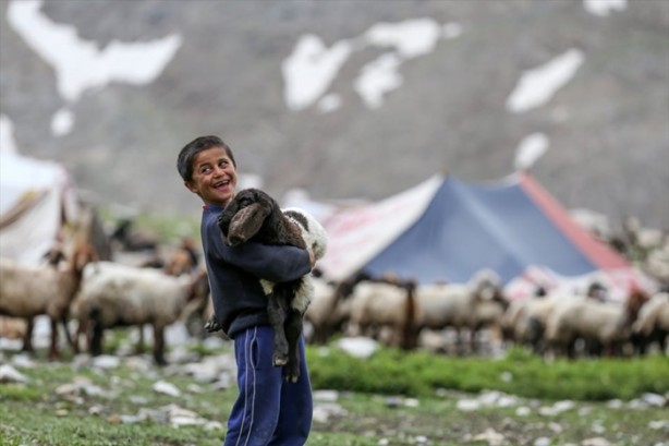 Foto - Senenin 5 ayını yaylada geçiriyorlar